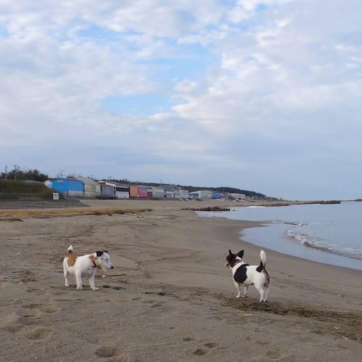 8b5b9123 c9df 48d3 90b0 3db29a00f605