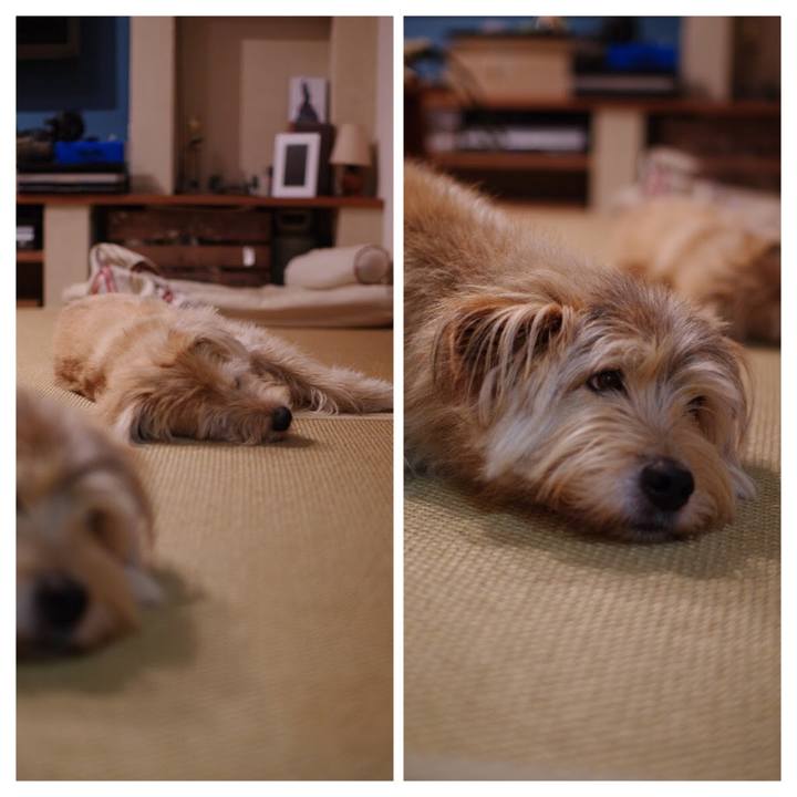 8b5be122 3b4c 4ac4 b01b 2e2f5737548d