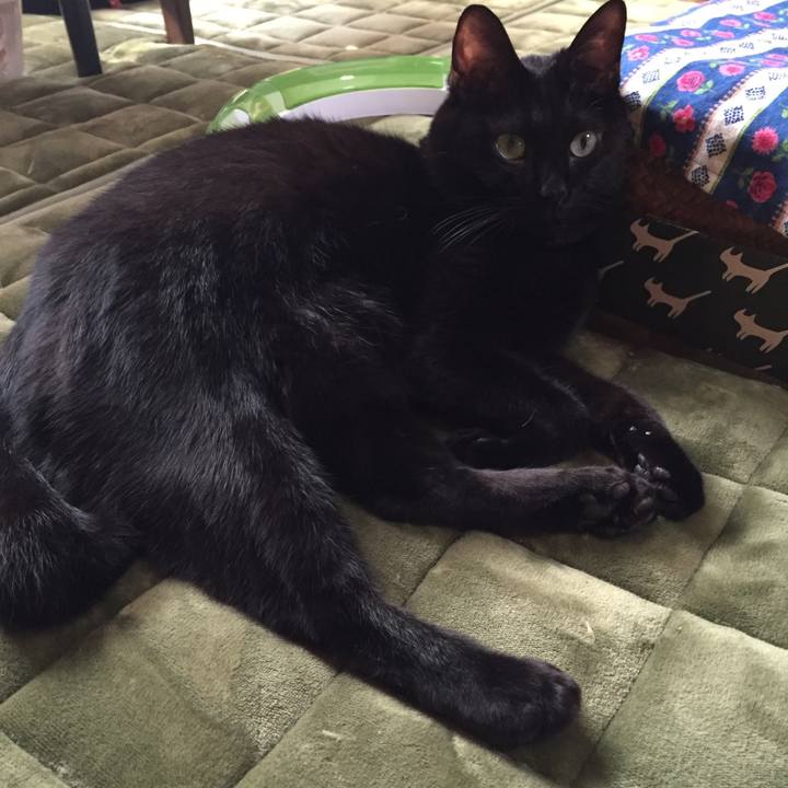 8b5c1a60 8566 41eb 8f5e e73427afedd1