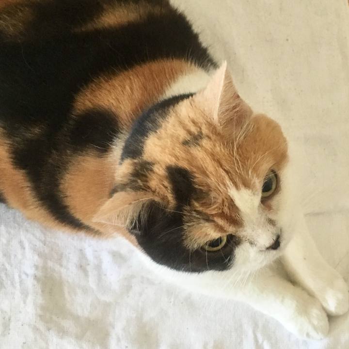 8b5c24e9 229d 478e af99 5fe4e5752f26