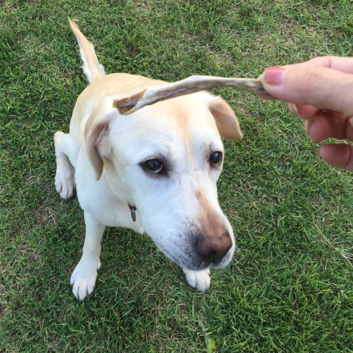 8b5c8ca9 5dda 4a68 9d61 af64429be6b3