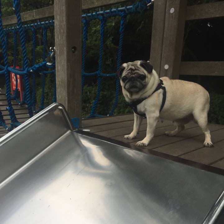 8b5c8d75 2bad 4bbb 86ca 4b331642003b