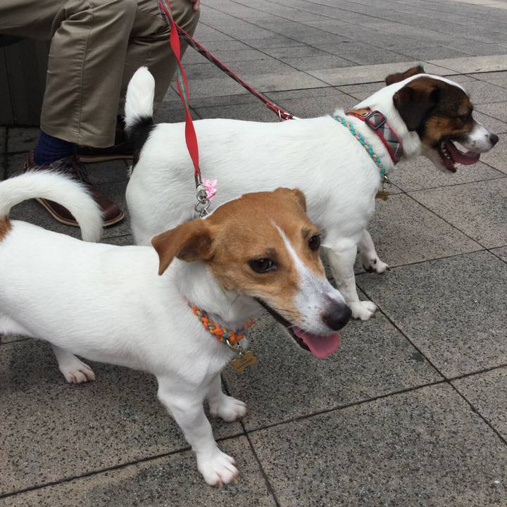 8b5d0c84 c45b 43a5 b4e4 9efbc397b571