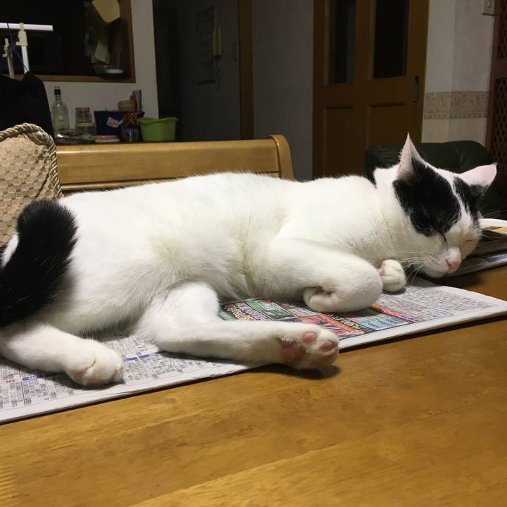 8b5d69c1 64bd 44eb b573 497f09e865f4