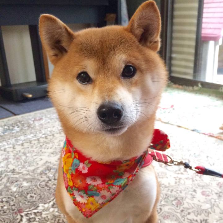 8b5e0ed6 10f5 4e11 bd7c 18d84e44766c