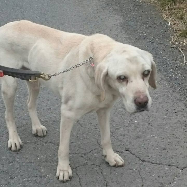 8b5e8d1d a1da 4c99 9760 72d75bce99f1