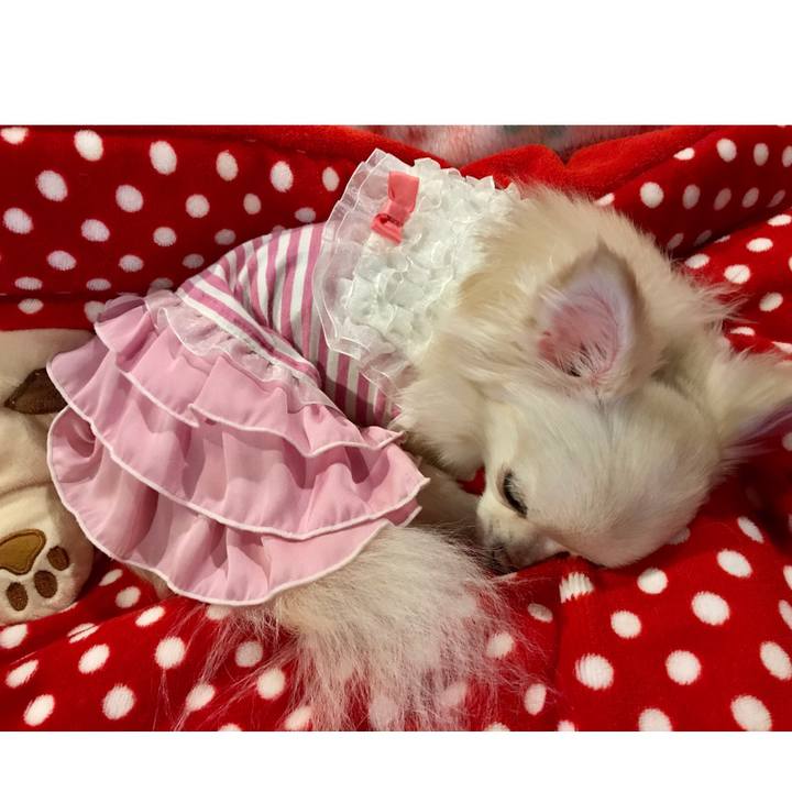 8b5fff18 1bc5 47a8 9e71 3342e319f187