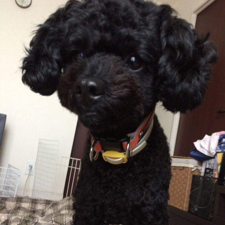 8b6006f8 e665 4d57 a0ab efcd05754b0b