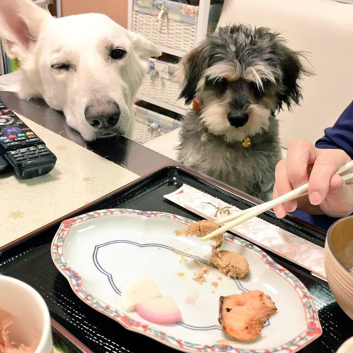 8b607a10 1cf0 453a b741 6fd476a9c0ae