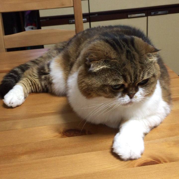 8b60b69d 8354 4f1c aea4 96e301e5c47a