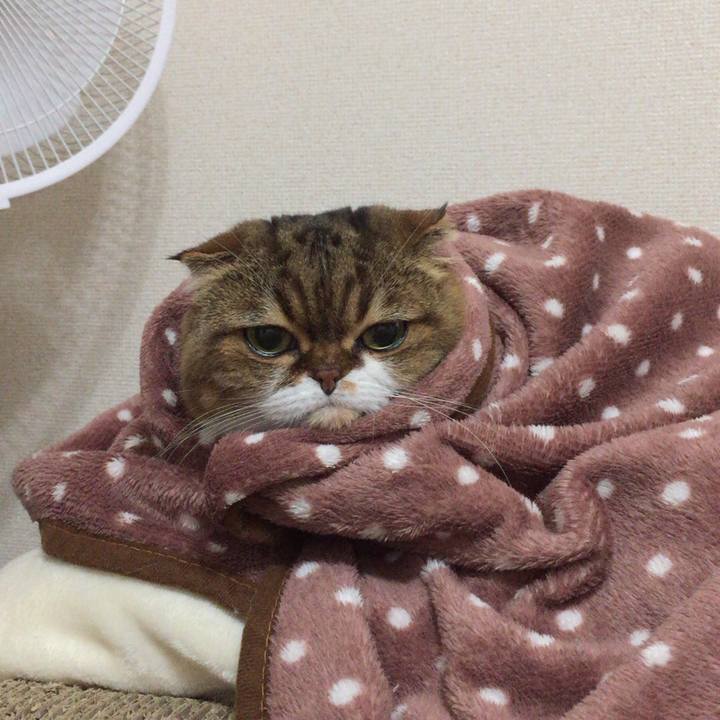 8b622ac0 b6fd 492e af41 a917553533a4