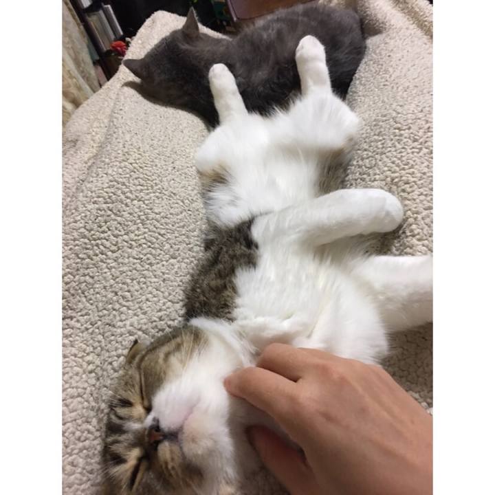 8b6277e6 766e 4ccf 88ca 1ee1999fa34e