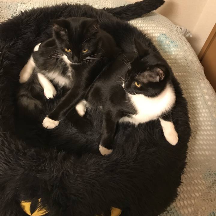 8b62ac4e 3b20 4db5 b474 89a57e6b5485