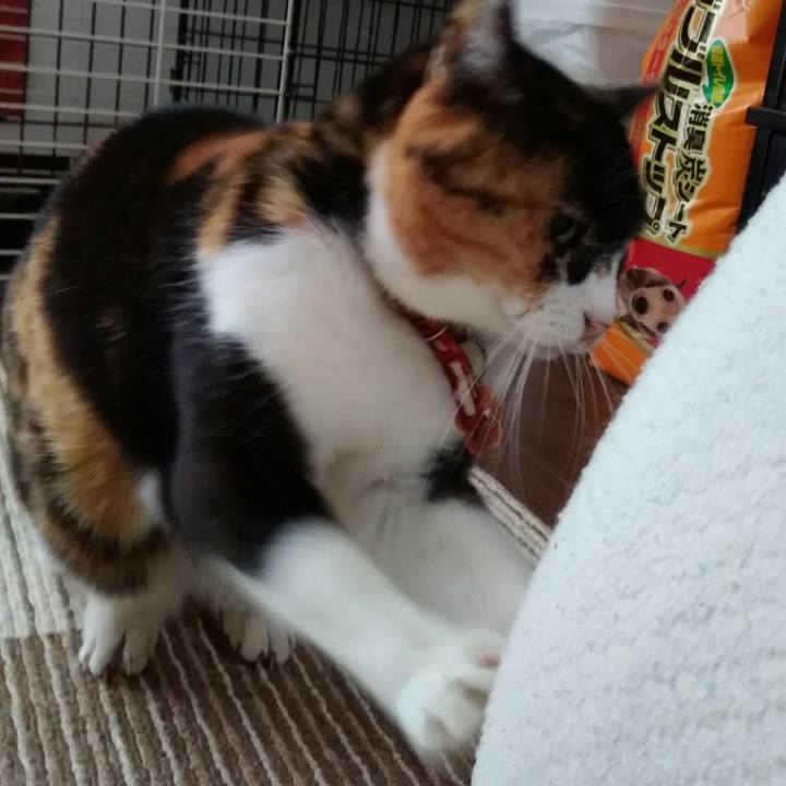 8b635a5f c112 483c b5be 27d3fbdcc56e