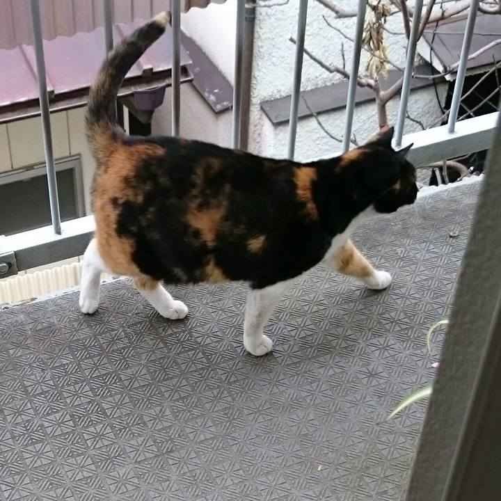 8b638f7a b04e 4149 8944 89adbab8203c