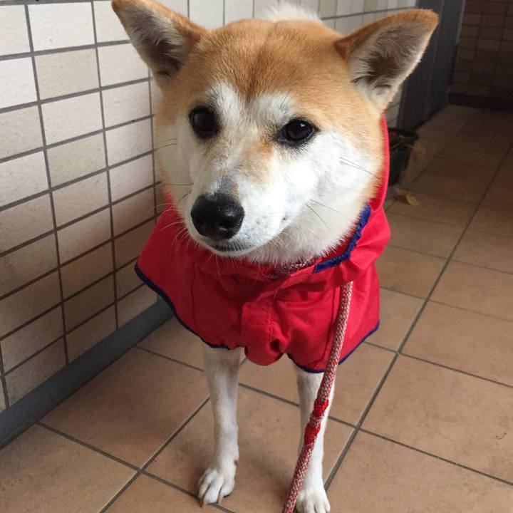 8b63aa5b 1fdf 44e2 ac58 729cc9c6a268