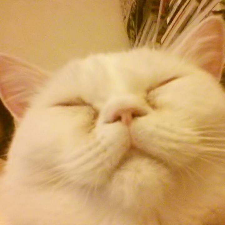 8b648eed 251d 49e6 a8d4 7769600910d5