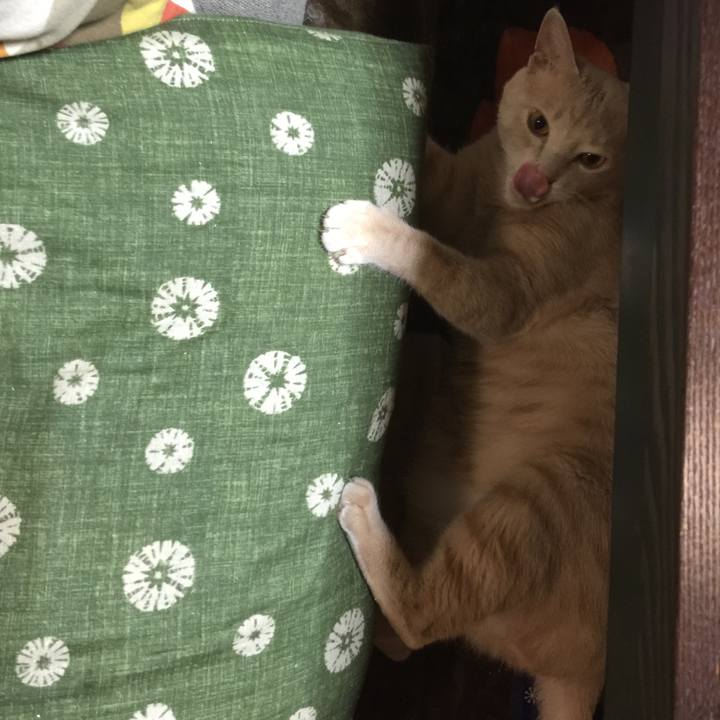 8b650320 882c 4e2f 9e76 3d6e456a9a0c