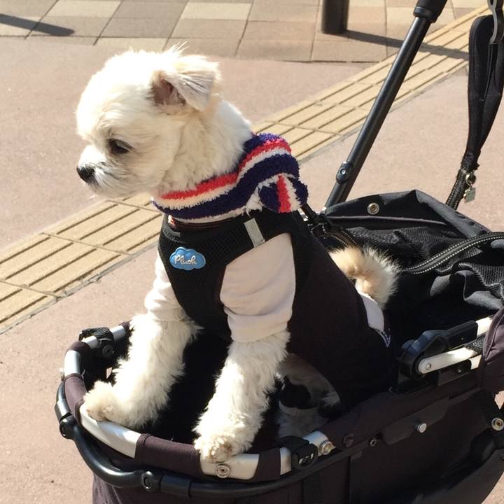 8b658daf 5ee2 4c51 be8d 5ecb4f0a1e3f