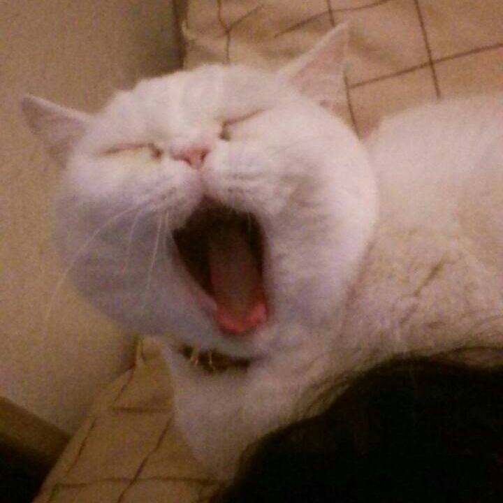 8b662da4 2824 46b6 afe8 6c10b15fa9e6