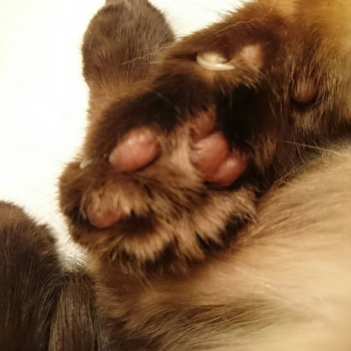 8b672c99 eeb4 4ba7 8e5c 9f6c1ecbd7d1