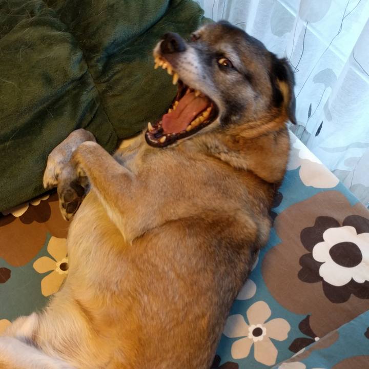 8b676a20 31cc 4c68 9418 f738413b489b