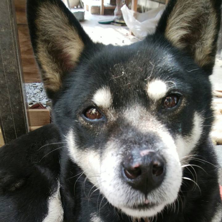 8b6791b9 0d68 4213 93b2 3b1a92f38bac