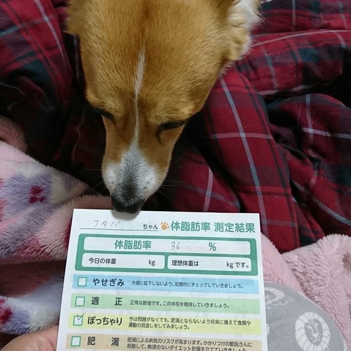 8b67ac97 82ea 49b1 b350 6d9cabd13a62