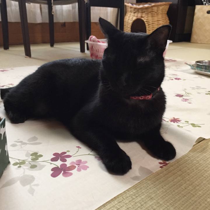 8b67f86b bad7 4bc2 a62c babe1b652e09