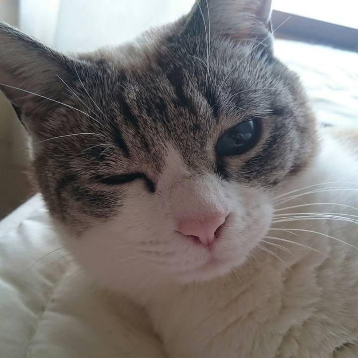 8b685842 2cc6 4276 9a56 3bae6f0e22cd