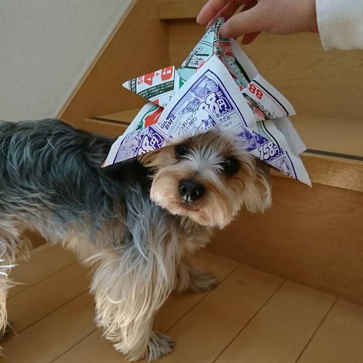 8b68e5bb 3bc3 4418 9215 15304c092791