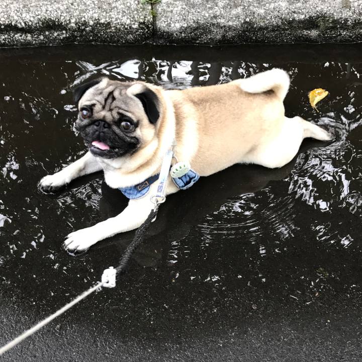 8b694756 4324 4b08 953a b3a6a52d509a