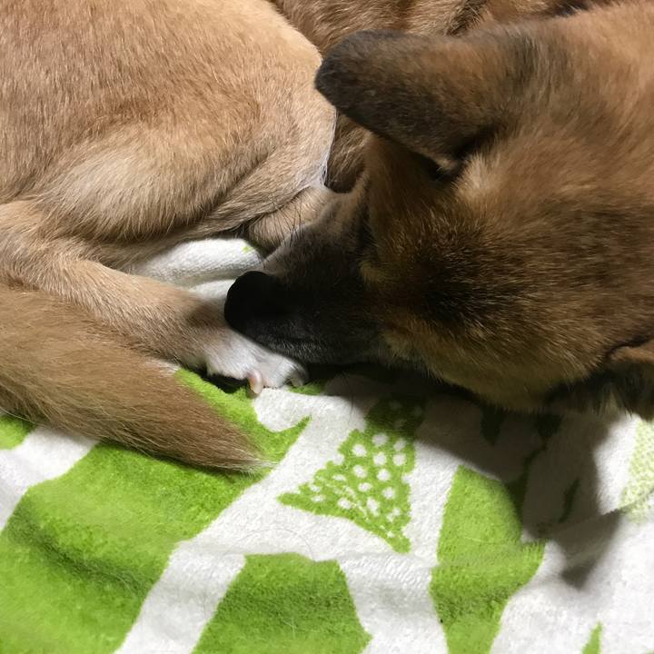 8b69aa52 b00c 4512 b50d fcb6c5ea258d