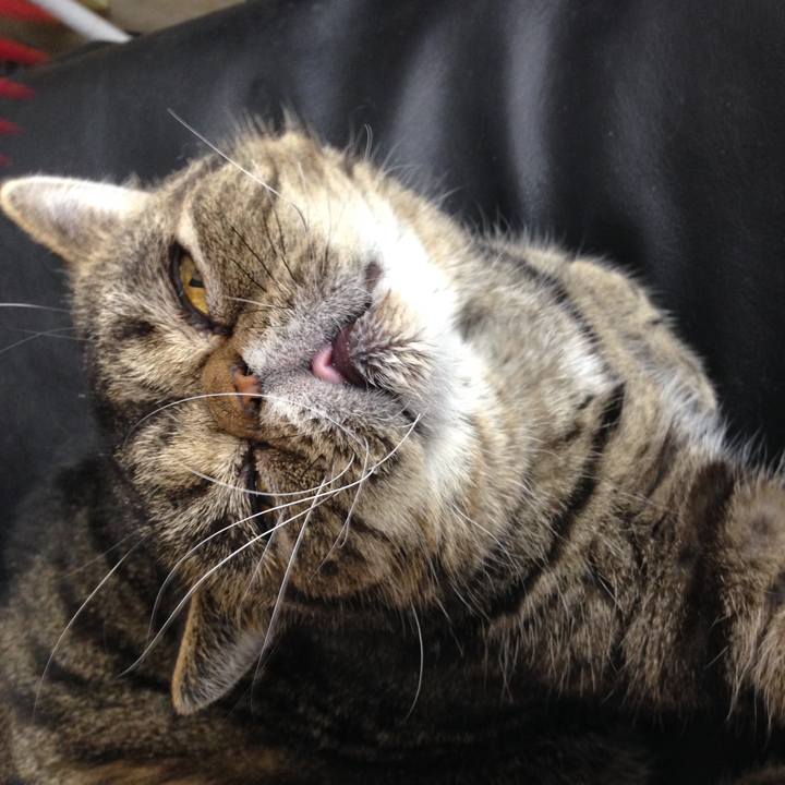 8b69b165 022b 4516 a33f ef026b9d687c