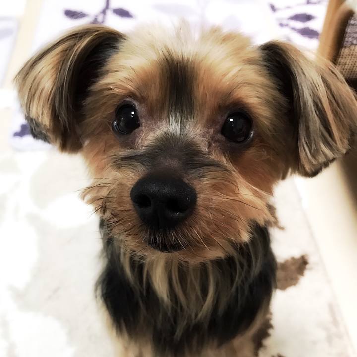 8b69c315 607b 4677 9de1 2784a1dba70a