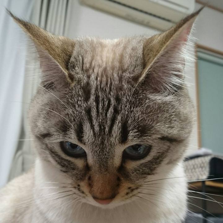 8b6a6457 f4ec 490f 82f8 d7e283125823