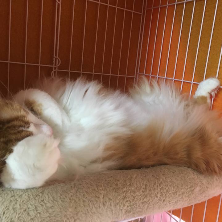 8b6b2335 d476 4ac6 88cb e9015780bf71