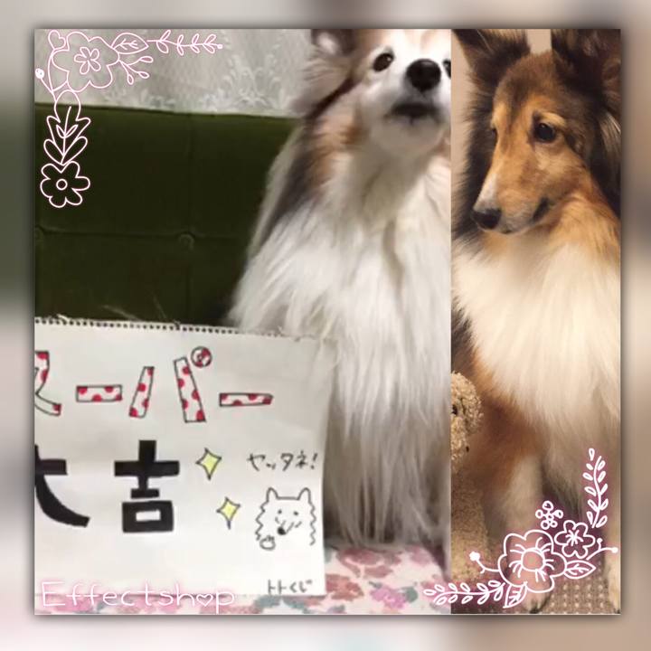 8b6b3569 70c9 4539 bf55 2858eb7f5c55