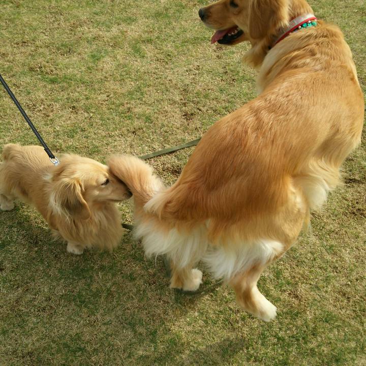 8b6b45de d3f0 44e5 b884 957d73ffe379