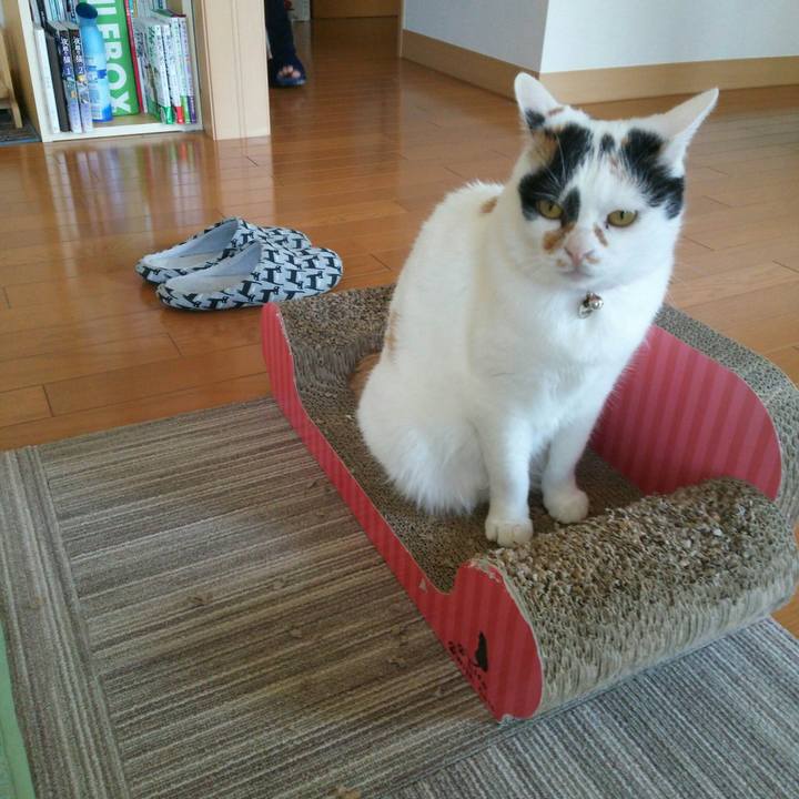 8b6ba13d e536 4c87 8fa0 d37b9ec8cad6