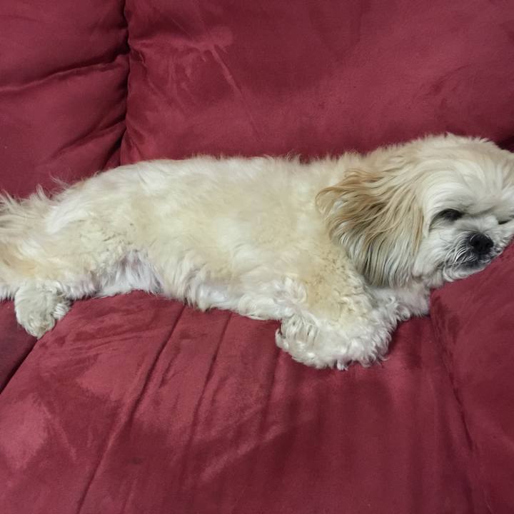 8b6c3ad5 61b6 4d60 9722 8a9a51f540d6