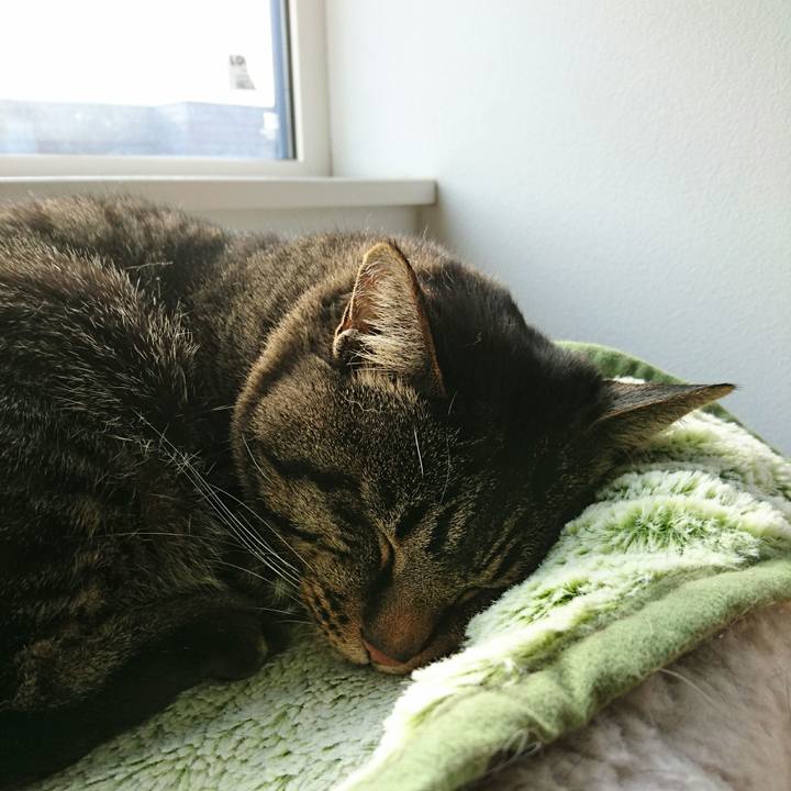 8b6da712 607f 4278 95a5 ef6ba2b45335