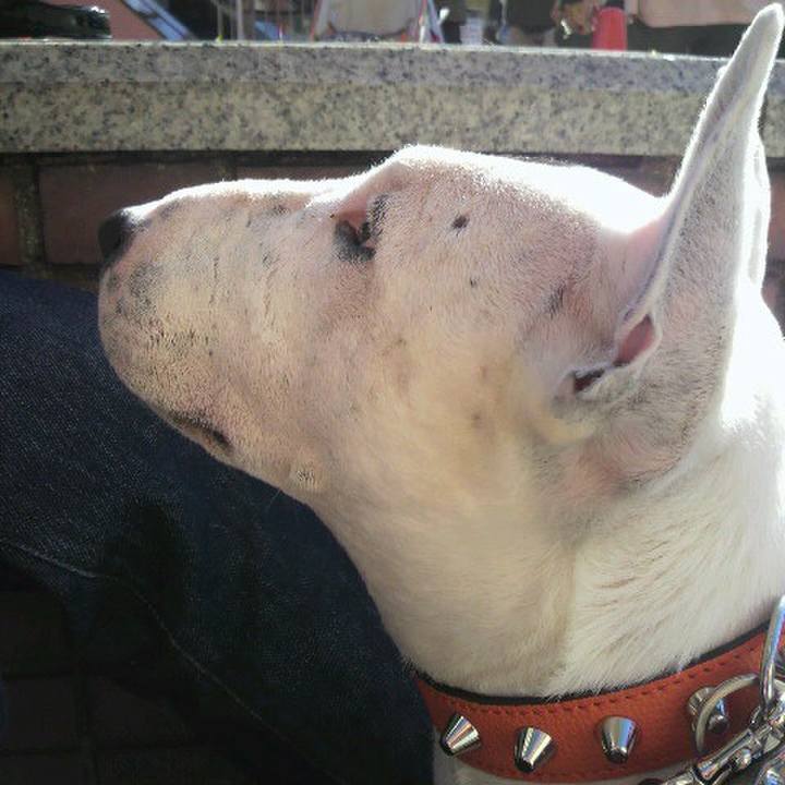 8b6eadca 035a 41df 84b9 0acb99e01133