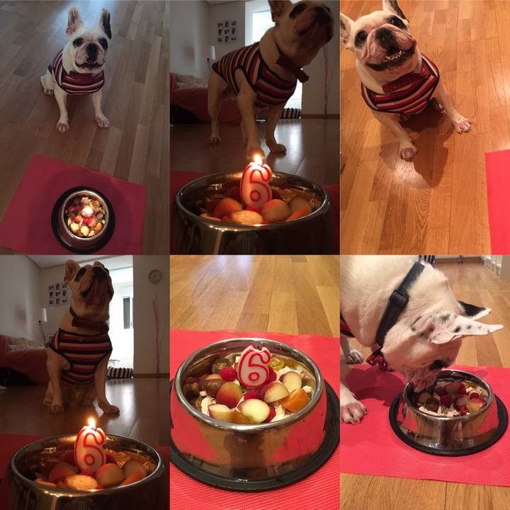 8b7006ea b398 4d92 a287 7fa8098b895e