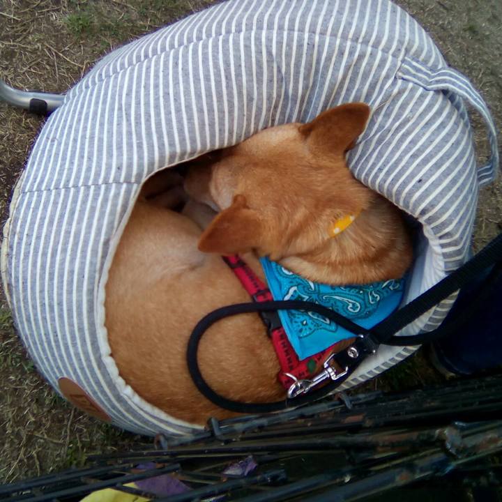 8b7023bb 50d7 4f2e 976d 328d5c5ea159