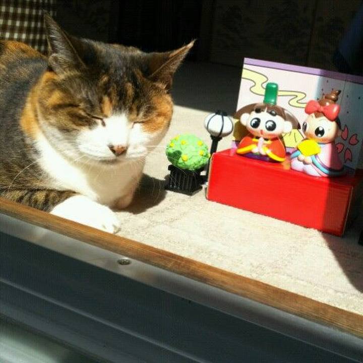 8b713e86 07cb 4749 9c92 e2ba81f121d6