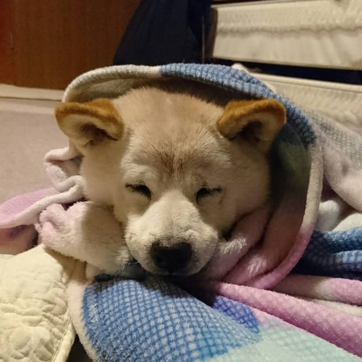 8b718902 b91c 467f 9890 fffc6ef0e3fc