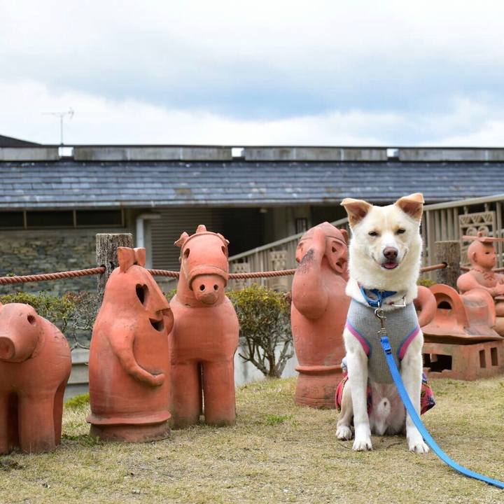 8b71f0c1 b720 4b6a 9a29 bd62e98528b6