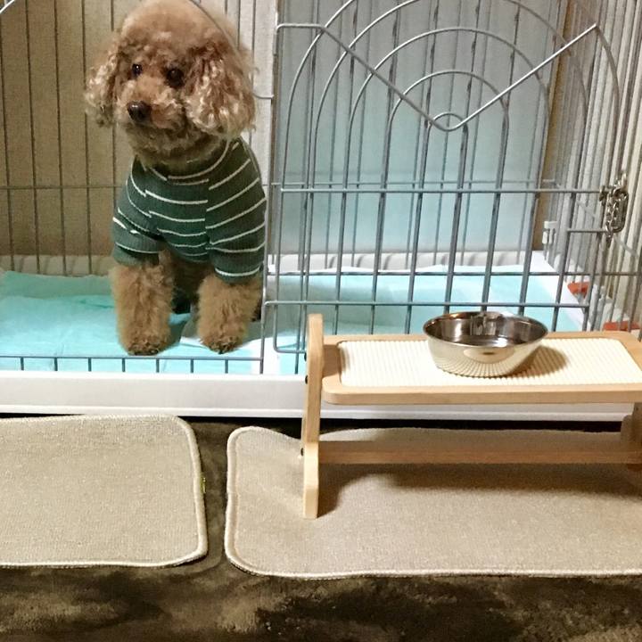 8b72c019 b903 4e36 96f6 bd903456c892