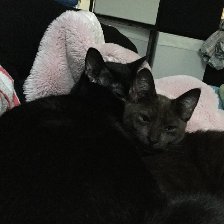 8b72de03 d732 4a35 a286 3ee09ecf867c